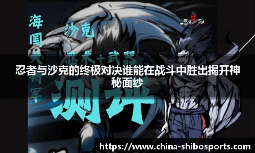 忍者与沙克的终极对决谁能在战斗中胜出揭开神秘面纱
